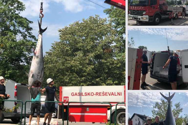 Rekord: 280 kilós tonhalat fogtak a horvát Adrián! 