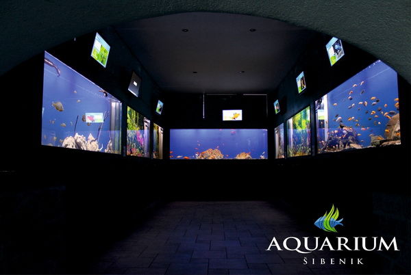 Az Aquarium belseje